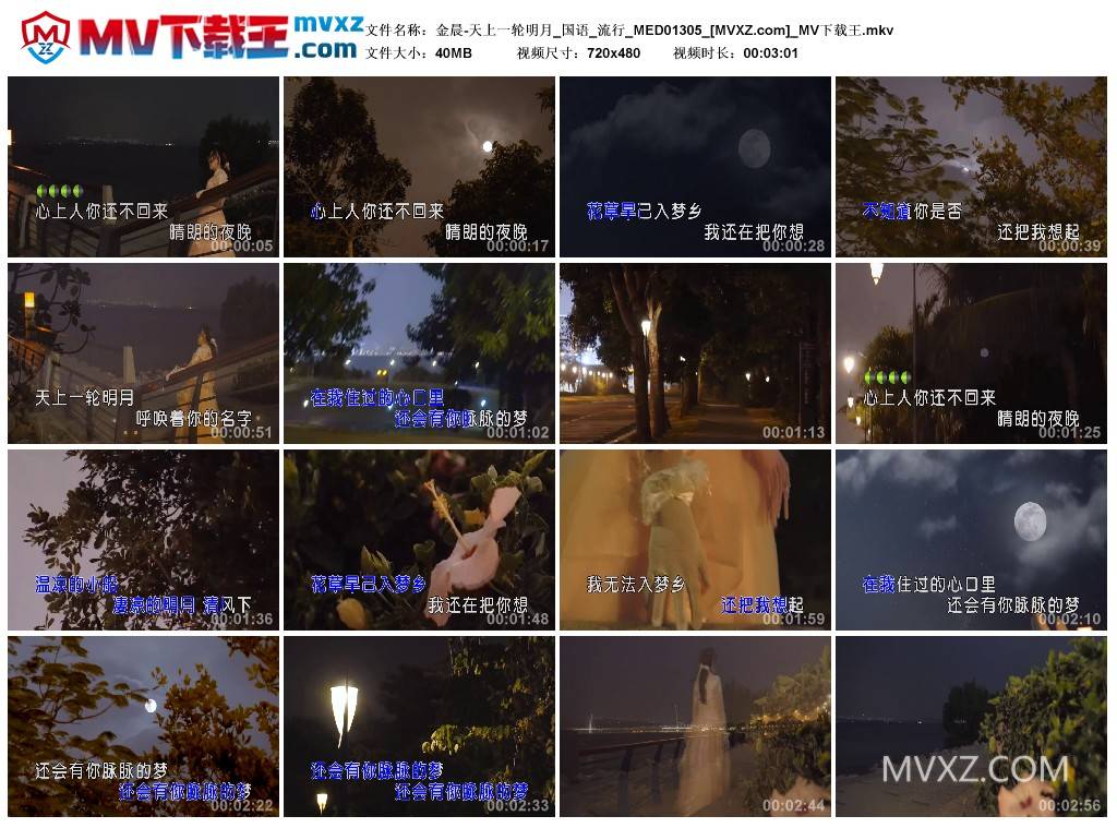 金晨-天上一轮明月_国语_流行_MED01305